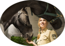 Eine Polizeibeamtin und ihr Pferd